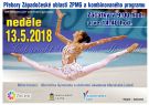 Oblastní přebory Základní moderní gymnastiky a výkonnostní moderní gymnastiky